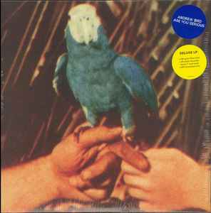 Are You Serious - Andrew Bird
