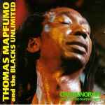 Cover of Chamunorwa, 1991, Vinyl