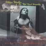 Cover of Music For The Native Americans, 1994, CD