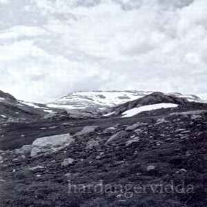 Ildjarn-Nidhogg - Hardangervidda album cover