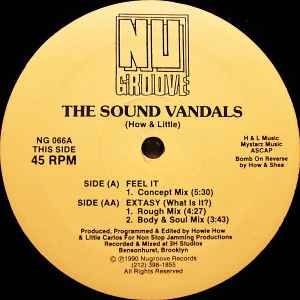 The Sound Vandals - Feel It / Extasy (What Is It?)