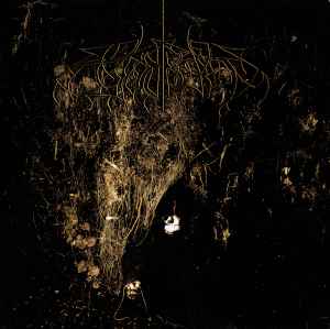 Wolves In The Throne Room - Two Hunters