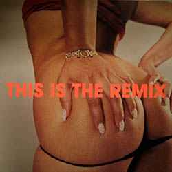 Spank Rock - This Is The Remix