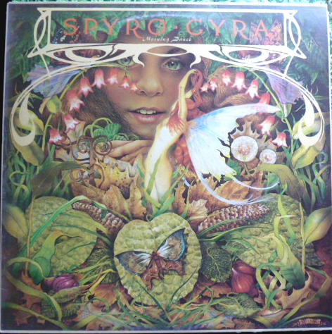 Spyro Gyra – Morning Dance (Vinyl) - Discogs