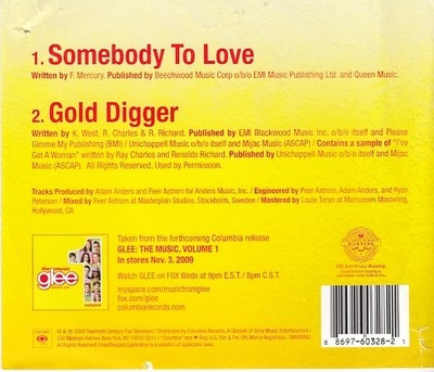 baixar álbum Glee Cast - Somebody To Love Gold Digger