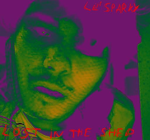 Album herunterladen Lil' Sparky - Lost In The Shed