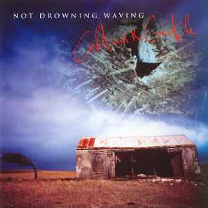 Cold And The Crackle - Not Drowning, Waving