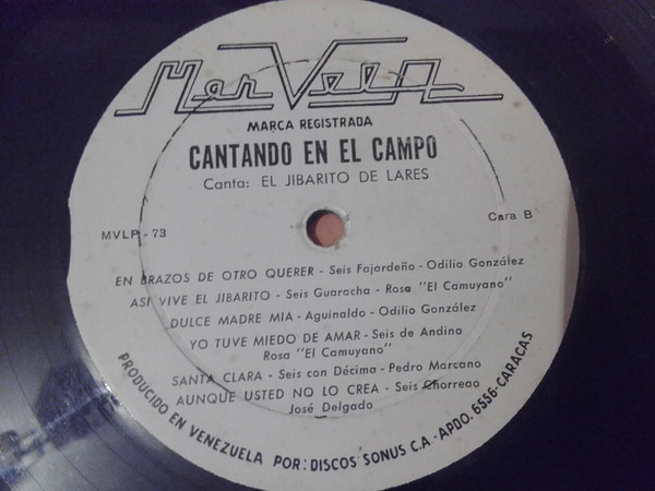 Album herunterladen Odilio González - Cantando en el campo