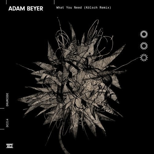 lataa albumi Adam Beyer - What You Need Kölsch Remix