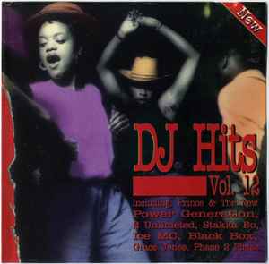 Various - DJ Hits Vol. 12 album cover