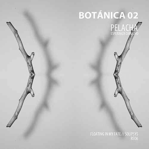 baixar álbum Pelacha - Botánica 02