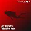 Jay Tripwire - Tribute To Raw