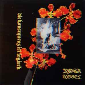 Rosa Nebel - Die Konsequenz Ist Logisch Album-Cover