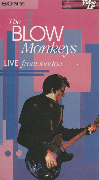 The Blow Monkeys – Animal Magic Live (2006