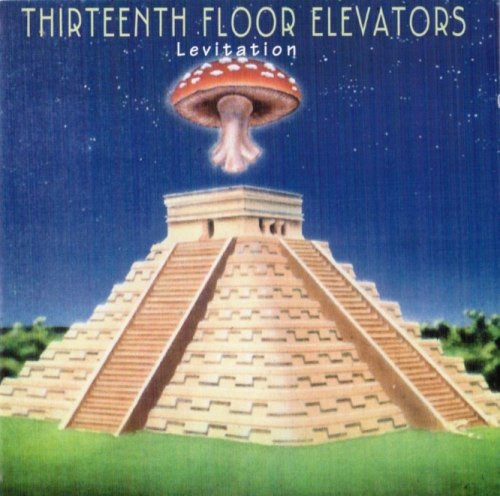 13th Floor Elevators – Live Evolution Lost (2014, CD) - Discogs