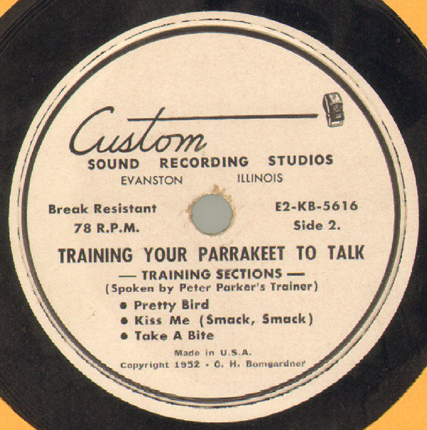 Album herunterladen No Artist - Training Your Parrakeet To Talk