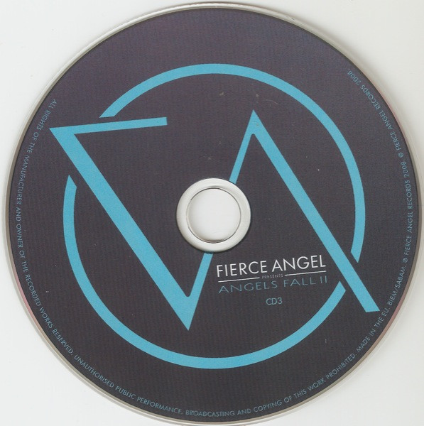 ladda ner album Various - Angels Fall II