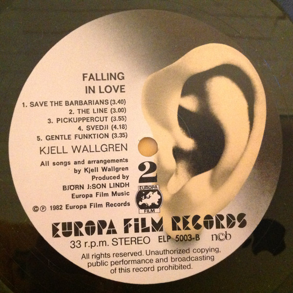 Album herunterladen Kjell Wallgren - Falling In Love