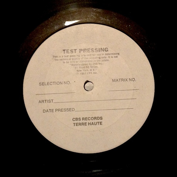ソノシート TYPHUS チフス 1981 flexidisc - レコード