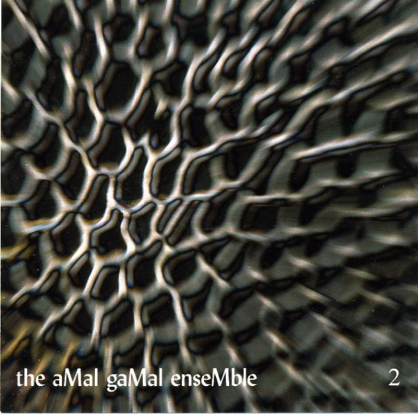 baixar álbum The Amal Gamal Ensemble - Aether 2