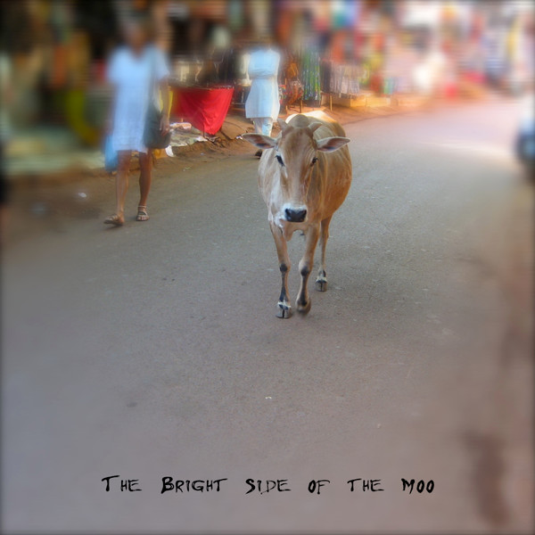 Ekiwojjolo – The Bright Side Of The Moo