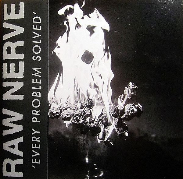 lataa albumi Raw Nerve - Every Problem Solved