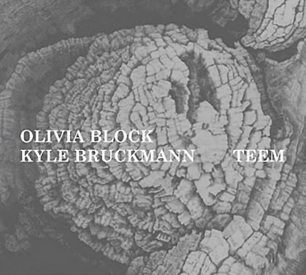 ladda ner album Olivia Block & Kyle Bruckmann - Teem