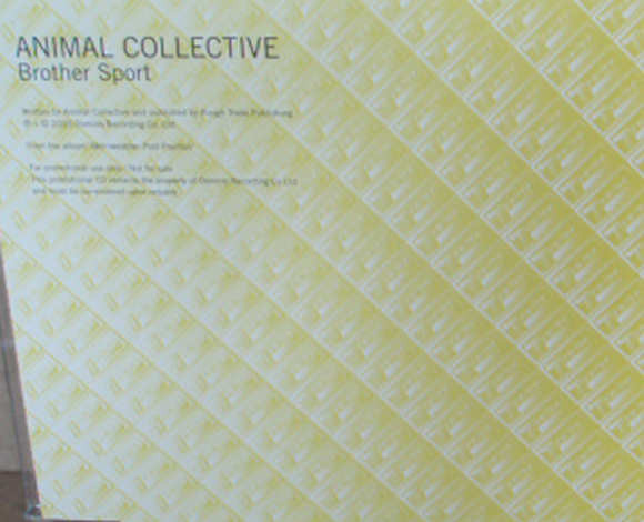 descargar álbum Animal Collective - Brother Sport