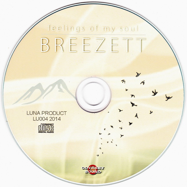 baixar álbum Breezett - Feelings Of My Soul