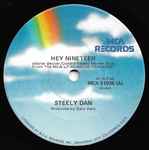 Cover of Hey Nineteen, 1981-01-00, Vinyl