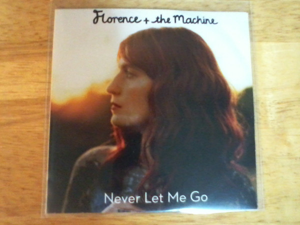 Never Let Me Go (Florence and the Machine song) - Wikipedia