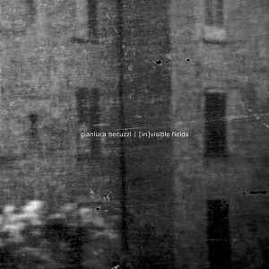 Gianluca Becuzzi - [In]visible Fields