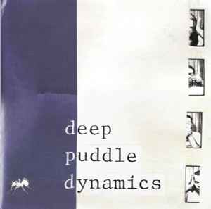 Deep Puddle Dynamics – The Taste Of Rain Why Kneel (1999, Vinyl 