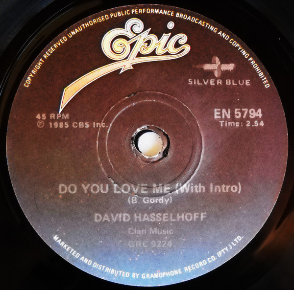 baixar álbum David Hasselhoff - Do You Love Me