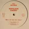 Napoleon Cherry - When You Had The Chance
