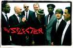 télécharger l'album The Selecter - Big In The Body Small In The Mind Back To Black