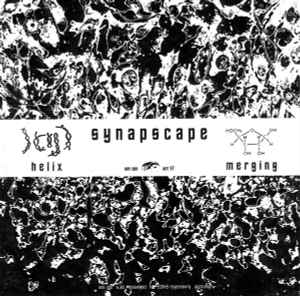 Synapscape - Helix / Merging