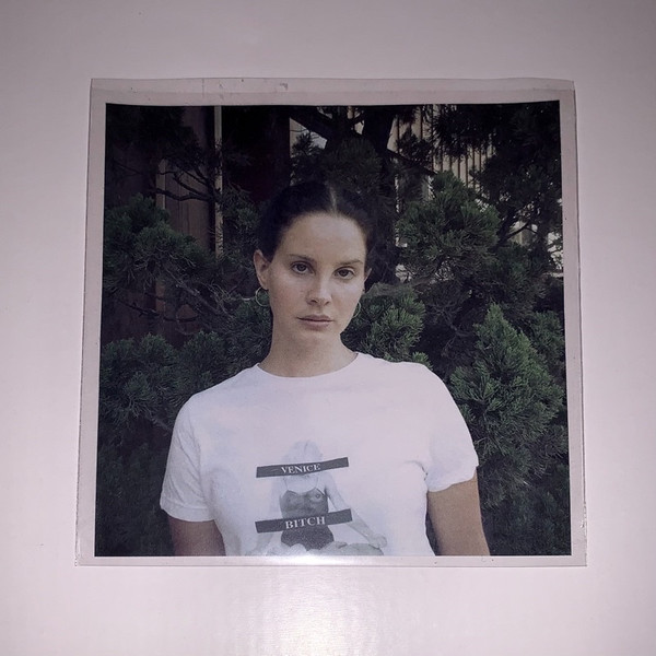 Lana del Rey mariners apartment complex lyrics Photographic Print for Sale  by illicitafairs