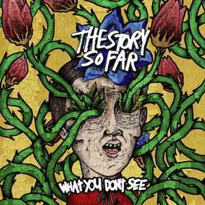 The Story So Far (2) - What You Don't See album cover