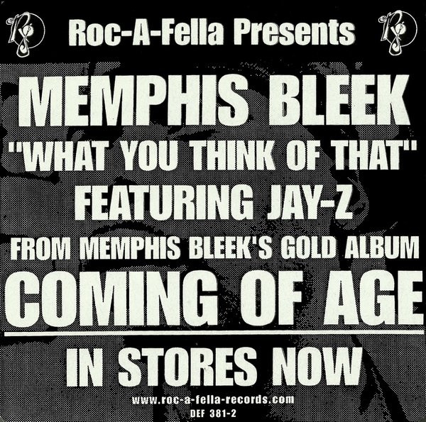 Memphis Bleek – What You Think Of That (1999, Vinyl) - Discogs