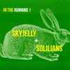 Skyjelly / Solilians - In The Running 1