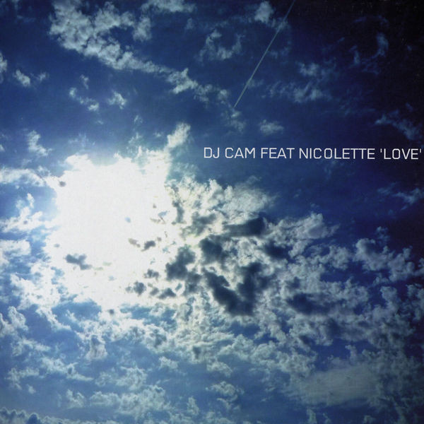 last ned album Dj Cam Feat Nicolette - Love