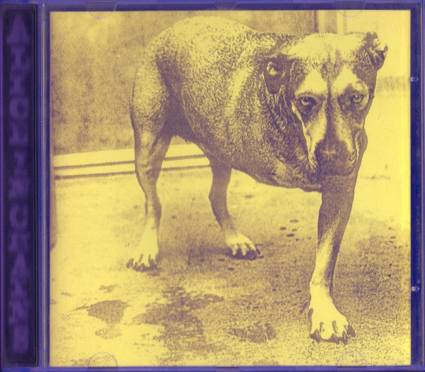 Alice in Chains by Alice in Chains CD Layne Staley 1995 Green/Purple Case  (Read) 74646724828
