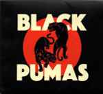 Cover of Black Pumas, 2020, File