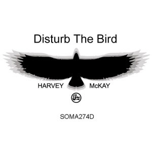 Album herunterladen Harvey McKay - Disturb The Bird