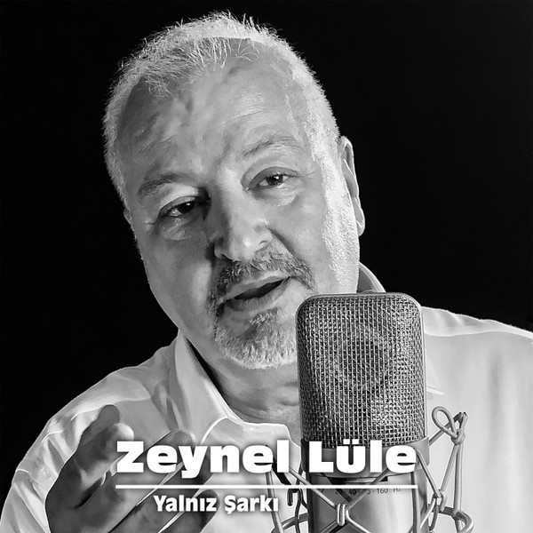 descargar álbum Download Zeynel Lüle - Yalnız Şarkı album