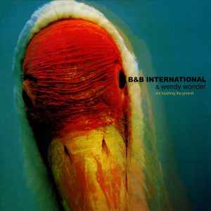 B & B International - Not Touching The Ground album cover