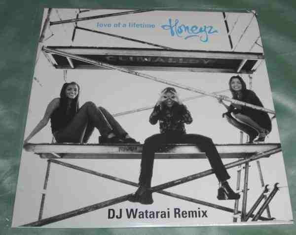 Honeyz – Love Of A Lifetime (DJ Watarai Remix) (1999, Vinyl) - Discogs