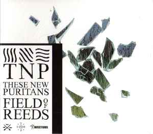 These New Puritans - Field Of Reeds album cover