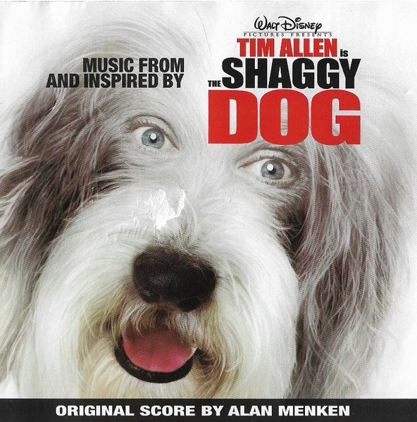 what happened shaggy dog